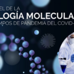 Biología molecular: todo lo que necesitas saber