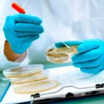 Descubre qué hace un bacteriólogo y laboratorio clínico