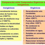Diferencia entre química orgánica e inorgánica: explicación clara