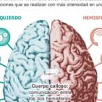 Estimula tu cerebro: técnicas para activar el hemisferio izquierdo